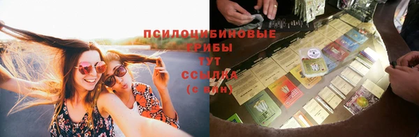 a pvp Алзамай