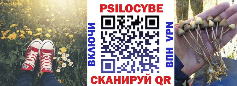 Псилоцибиновые грибы Magic Shrooms  blacksprut вход  Данилов 